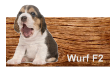 Wurf F2