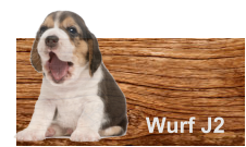 Wurf J2