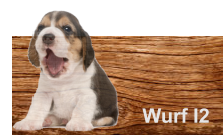 Wurf I2
