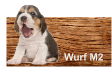 Wurf M2