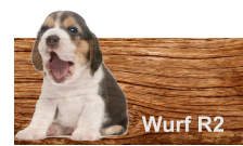 Wurf R2