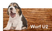 Wurf U2
