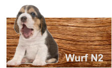 Wurf N2