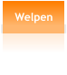 Welpen