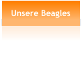 Unsere Beagles